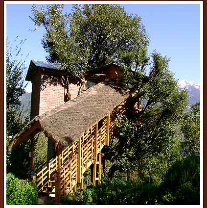 Luxury Cottages on Deluxe Luxury Cottages   Manali Review  Price  Deluxe Luxury Cottages
