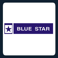 Private Jet Charter Flights - Blue Star.
