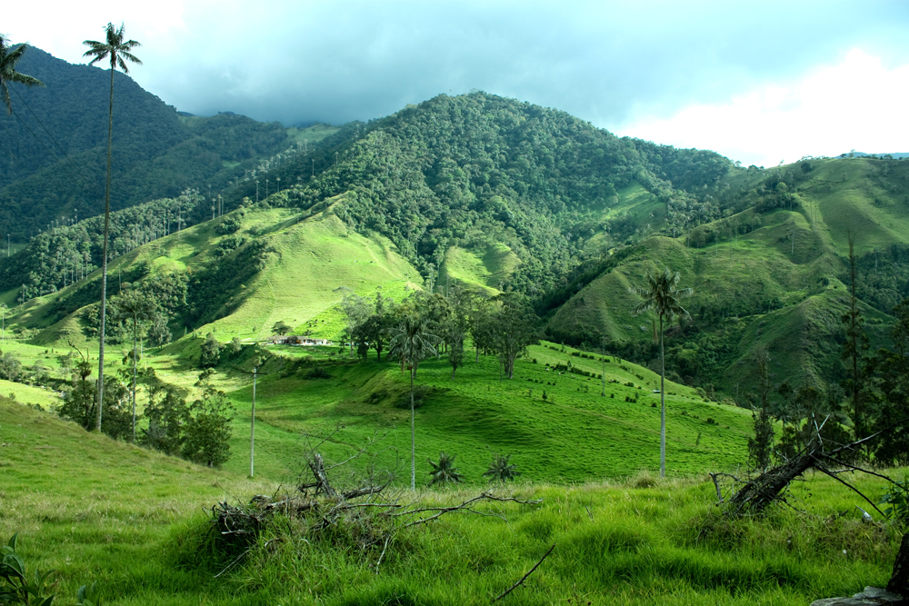 Igatpuri
