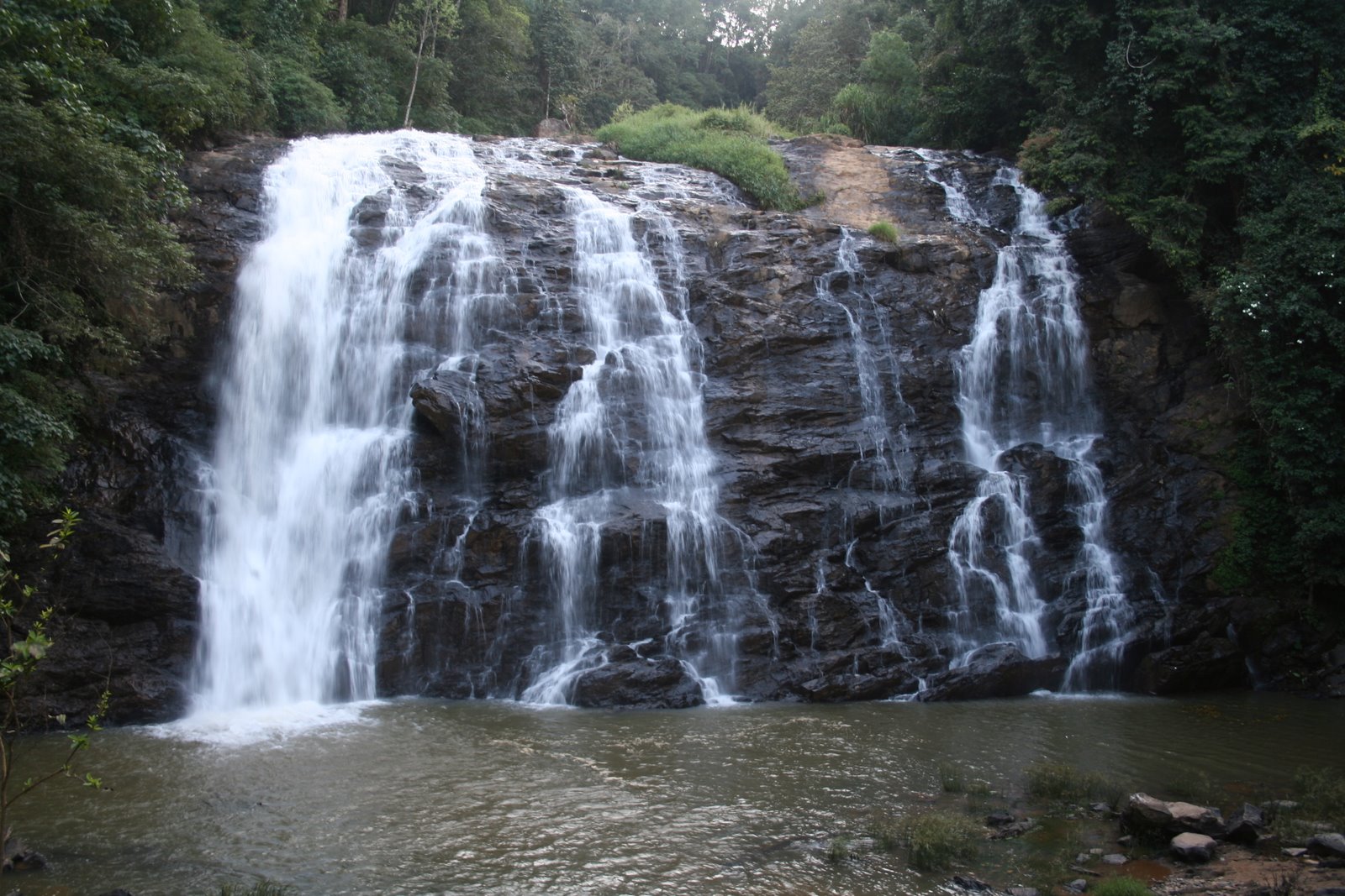 Imageresult for .Coorg in monsoon