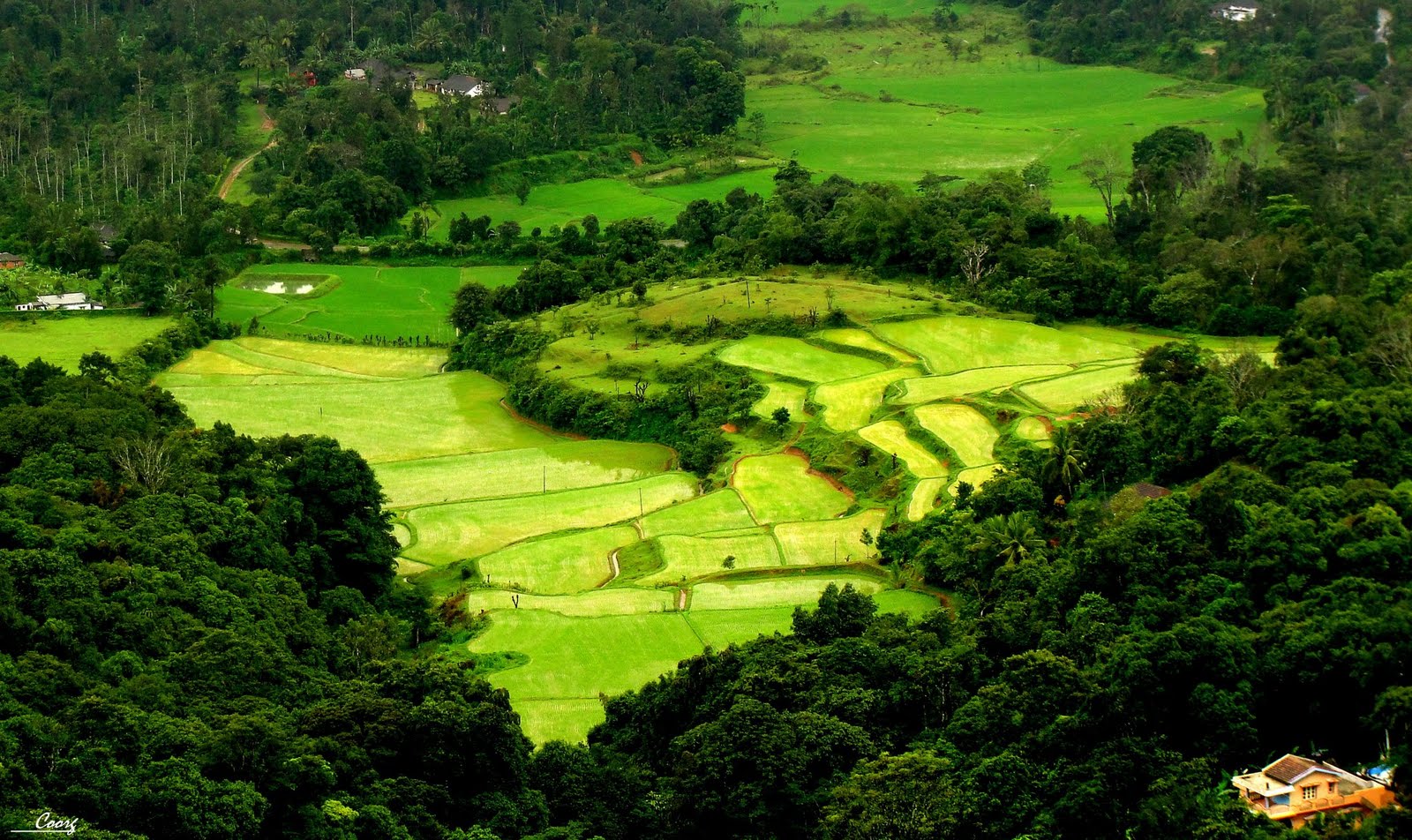 Coorg, india