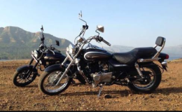 Bajaj Avenger Cruise 220 Photos Images And Wallpapers Colours