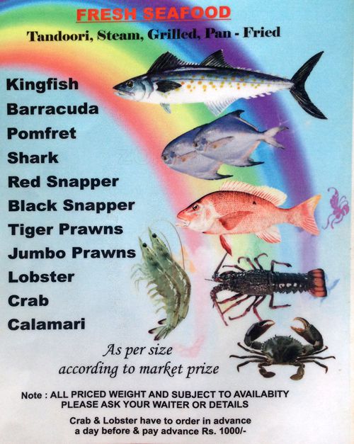 Abel Cressida Beach Cafe - Palolem Beach - Palolem - Goa image 6