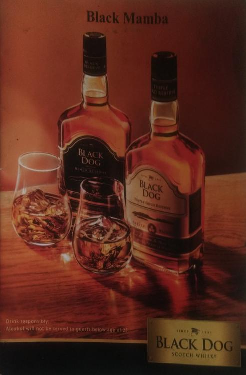 Black Mamba Pub & Club - Gulmohar Colony - Bhopal image 6