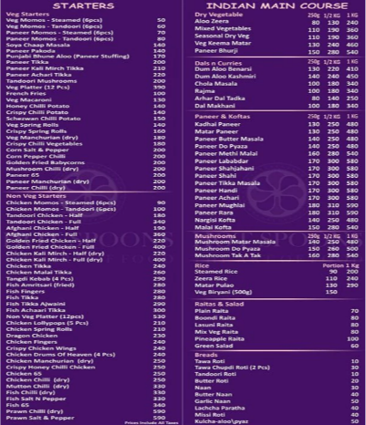 Hot Spoons - Indira Nagar - Lucknow image 1