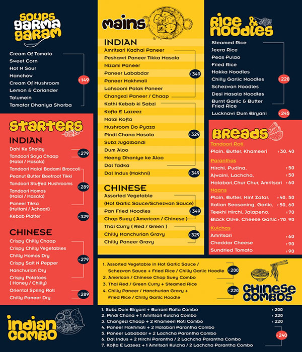 Indus Flavour - GTB Nagar - Delhi NCR image 6