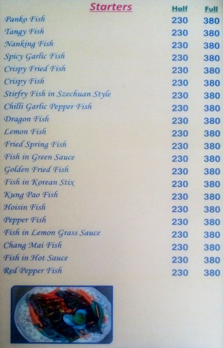 Mandarin Gourmet - Matheswartala Road - Kolkata image 12