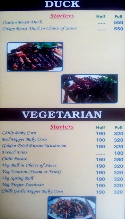 Mandarin Gourmet - Matheswartala Road - Kolkata image 10