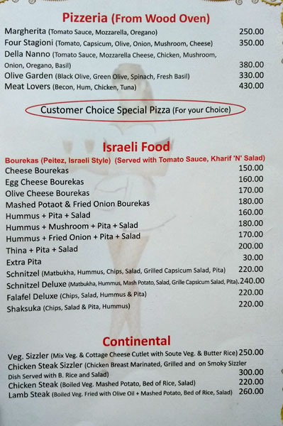 Olive Garden - Old Manali - Manali image 4