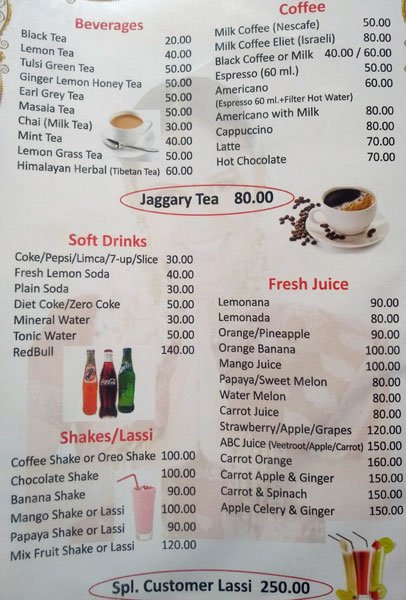 Olive Garden - Old Manali - Manali image 7