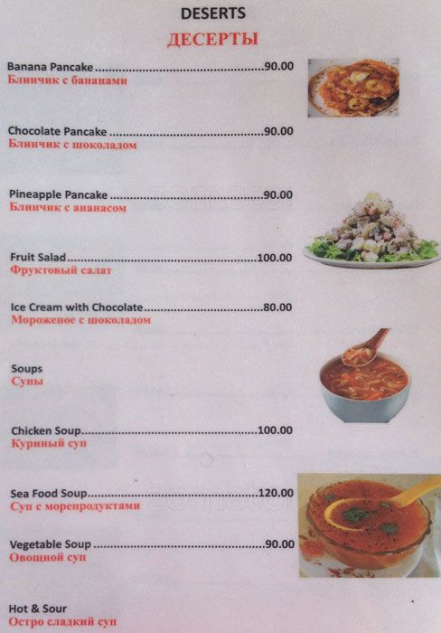 Sea Gull - Morjim Beach - Arambol - Goa image 2