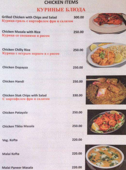 Sea Gull - Morjim Beach - Arambol - Goa image 8