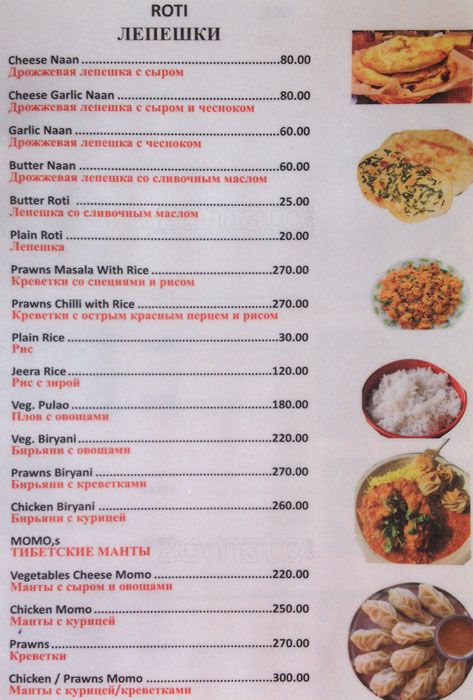 Sea Gull - Morjim Beach - Arambol - Goa image 5