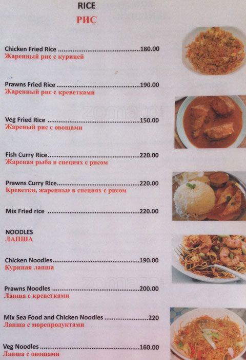 Sea Gull - Morjim Beach - Arambol - Goa image 6