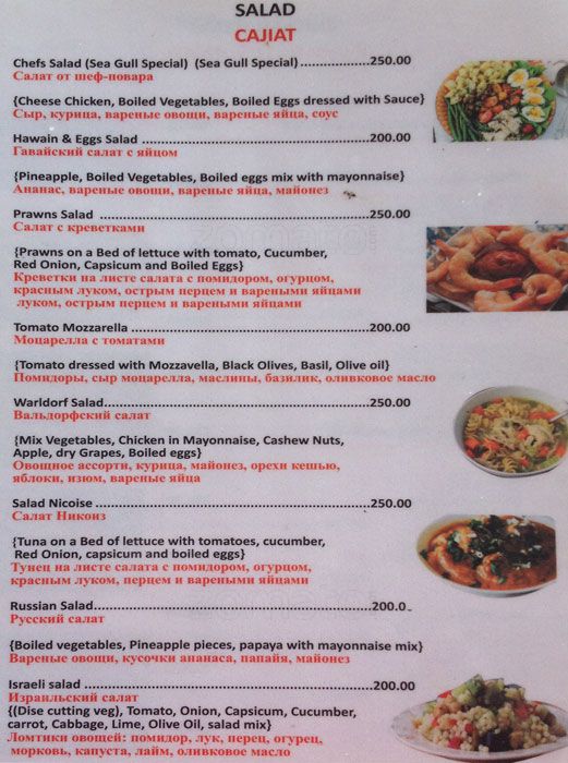 Sea Gull - Morjim Beach - Arambol - Goa image 9