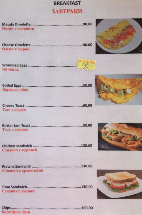 Sea Gull - Morjim Beach - Arambol - Goa image 10