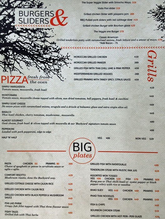 The Backyard - Hauz Khas - Delhi NCR image 3