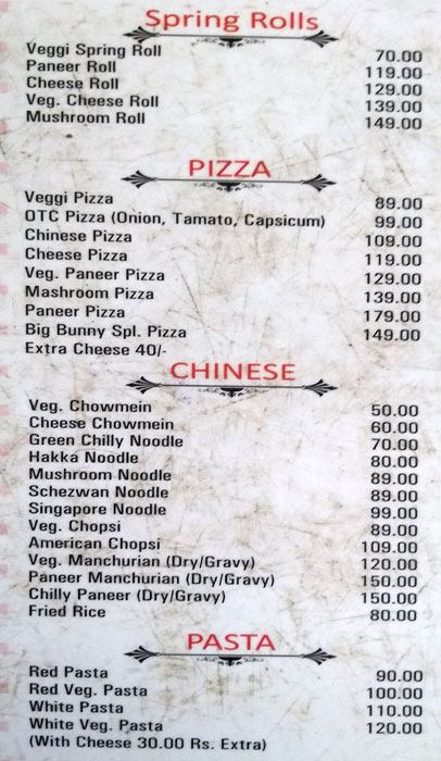 The Big Bunny - Adarsh Nagar - Ajmer image 9