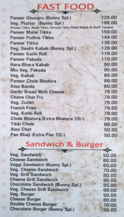 The Big Bunny - Adarsh Nagar - Ajmer image 5