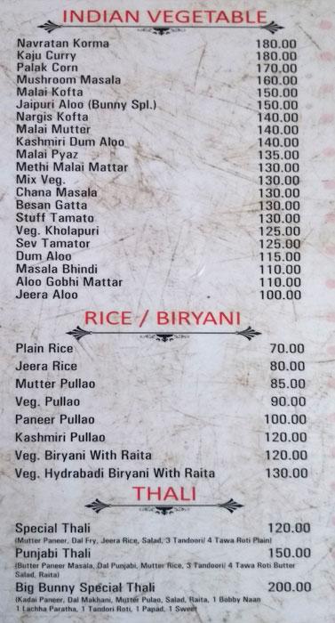 The Big Bunny - Adarsh Nagar - Ajmer image 2