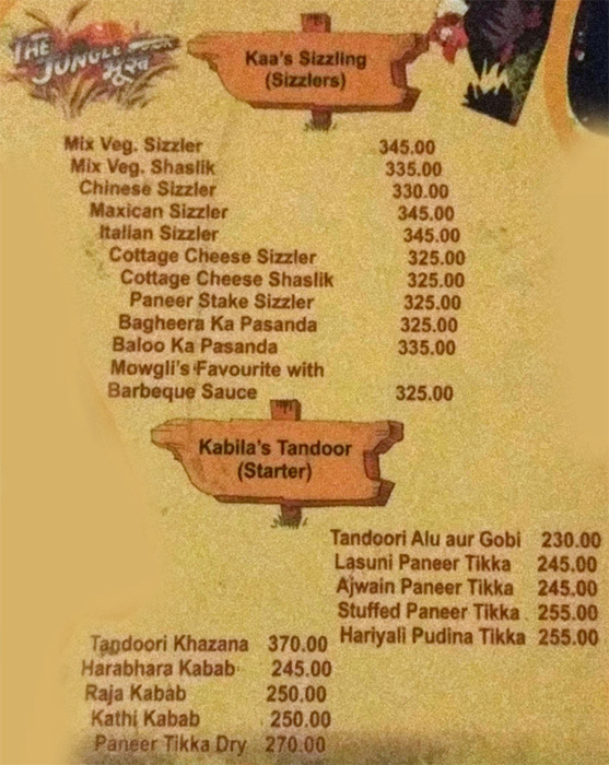 The Jungle Bhookh - Ellis Bridge - Ahmedabad image 10