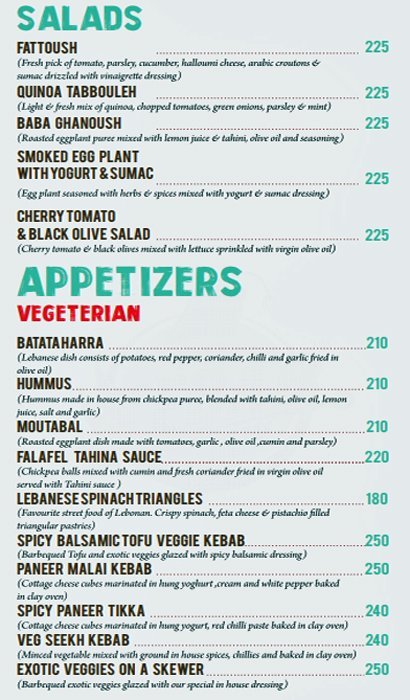 The Kebab Guy - Khar - Mumbai image 16