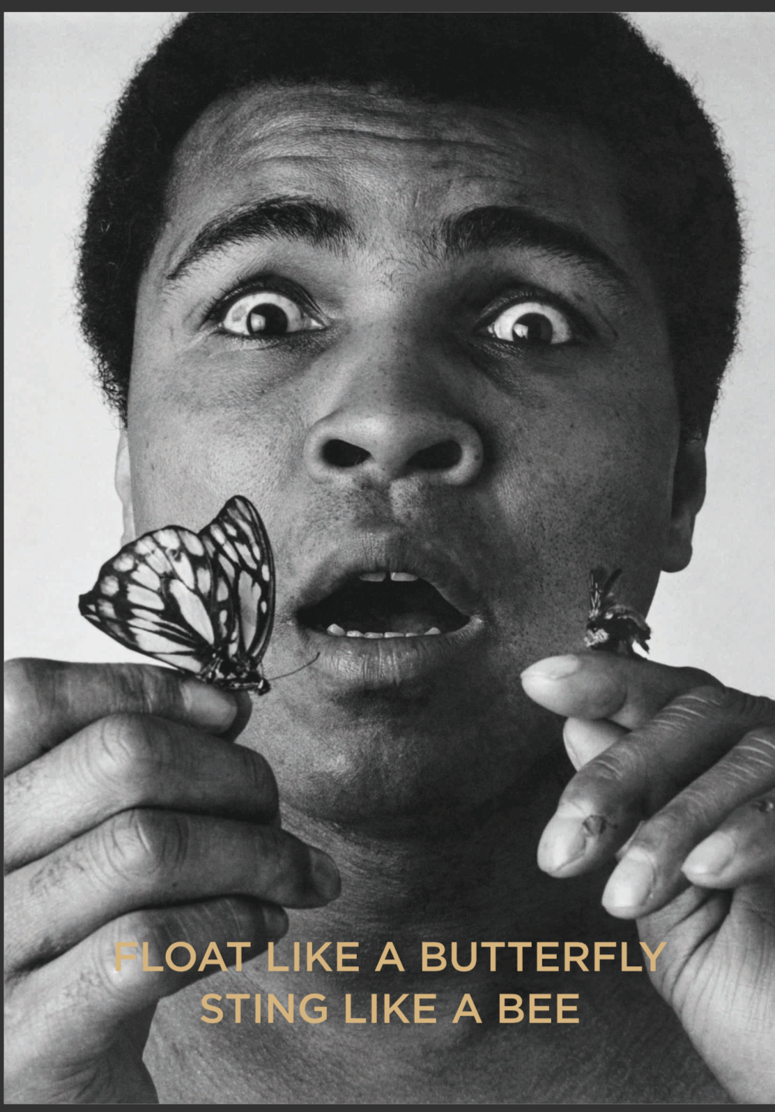 The Studs Sports Bar & Grill - Juhu - Mumbai image 13