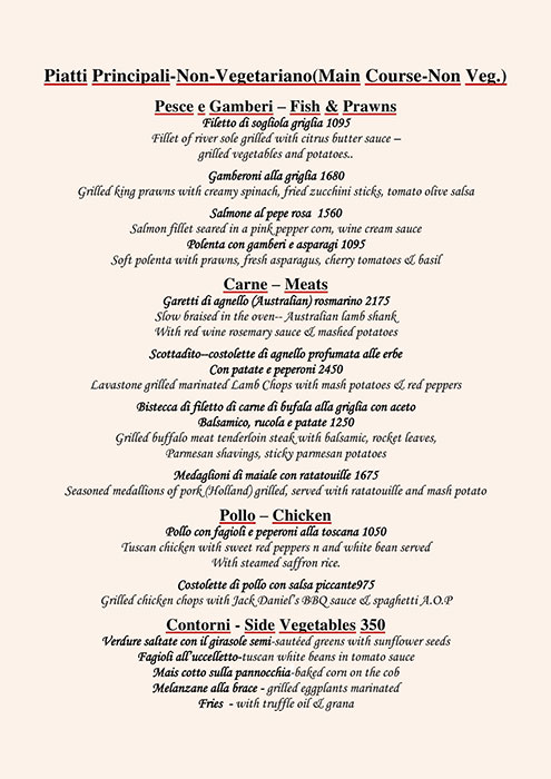 Tonino - Mehrauli Gurgoan Road - Delhi image 5