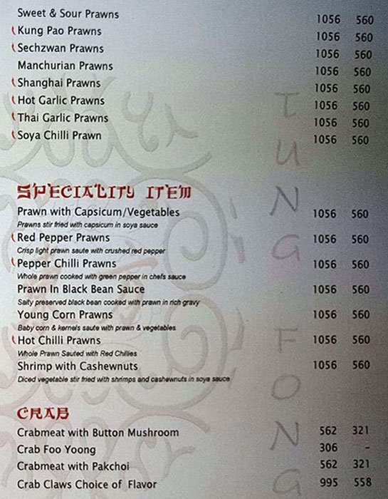 Tung Fong - Park Street - Kolkata image 9