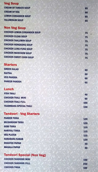 VillageInn Bar & Restaurant - Pandubettu - Udupi image 6