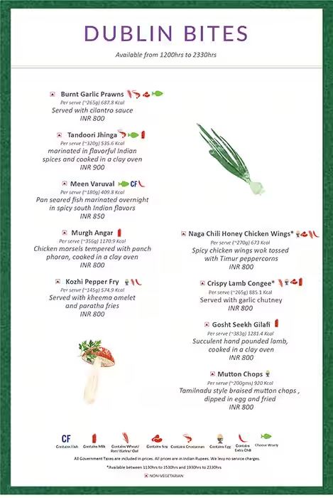 Dublin - Vasanth Nagar - Bangalore image 3