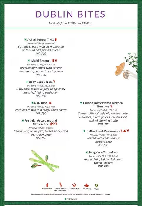 Dublin - Vasanth Nagar - Bangalore image 4