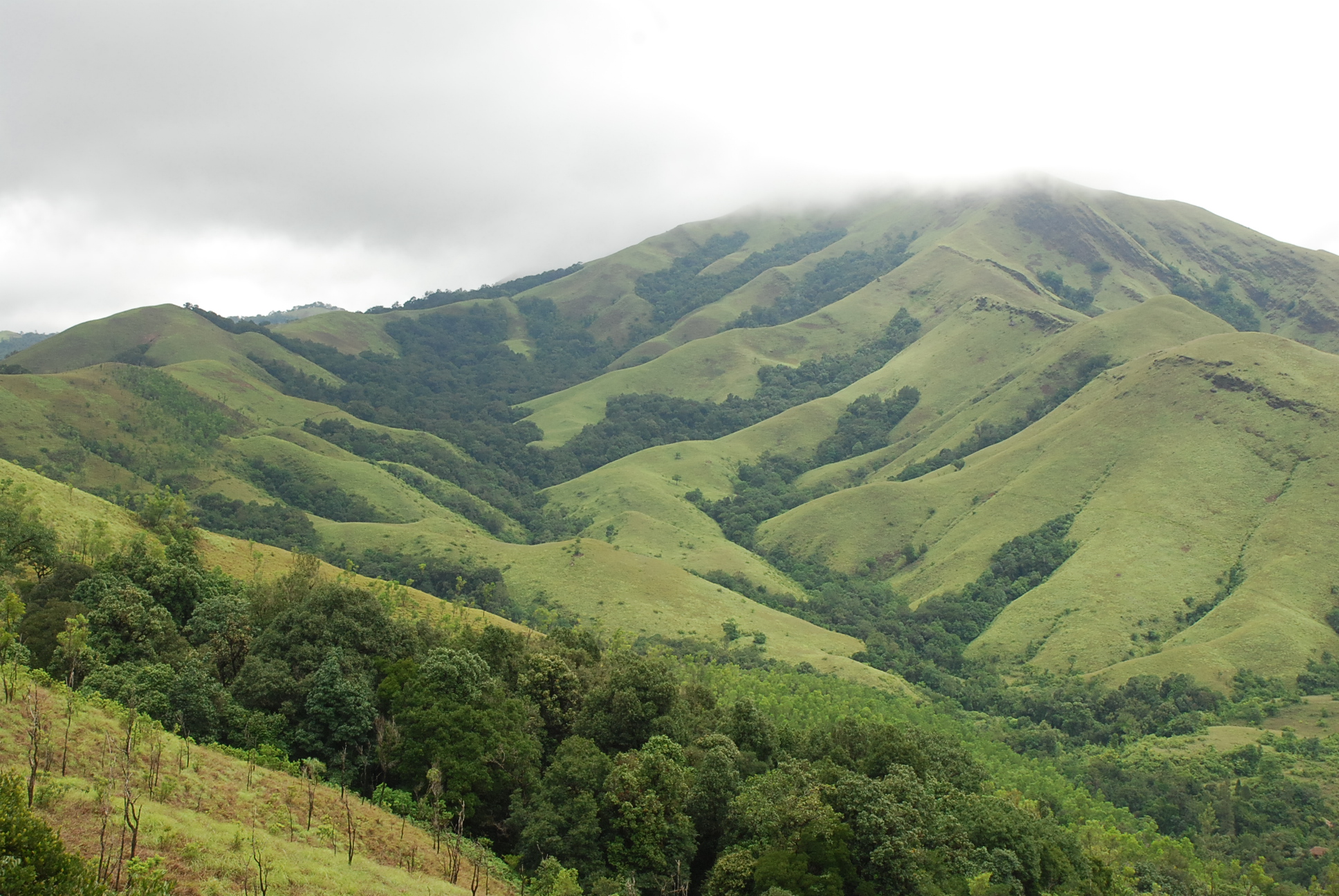 MULLAYANAGIRI - CHIKMAGALUR Photos, Images and Wallpapers, HD Images ...