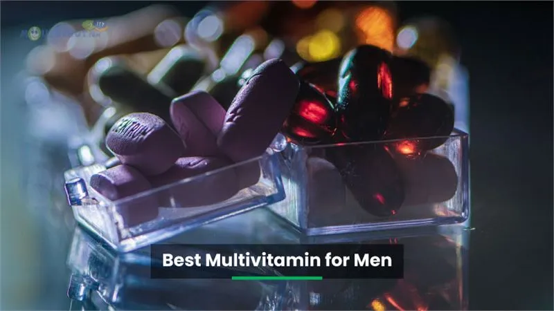 Best-Multivitamin.webp