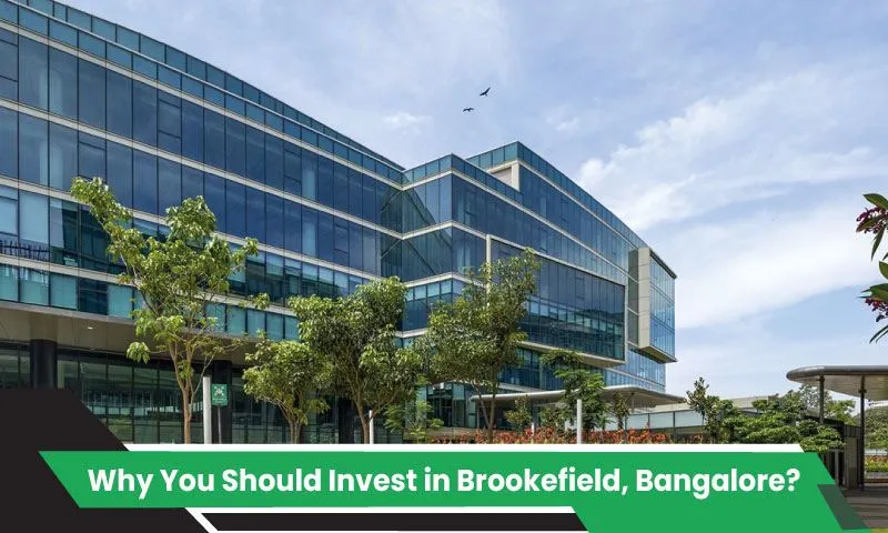 Why You Should Invest in Brookefield, Bangalore? Find Top Reasons