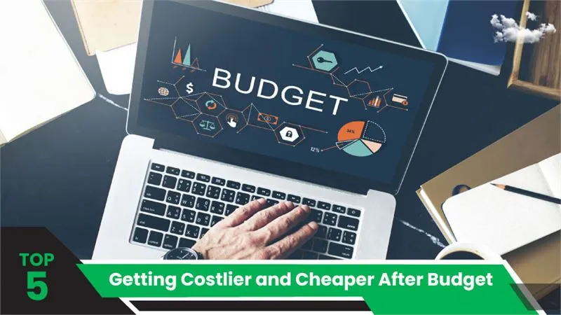 Top 5 Things Getting Costlier and Cheaper After Budget 2024