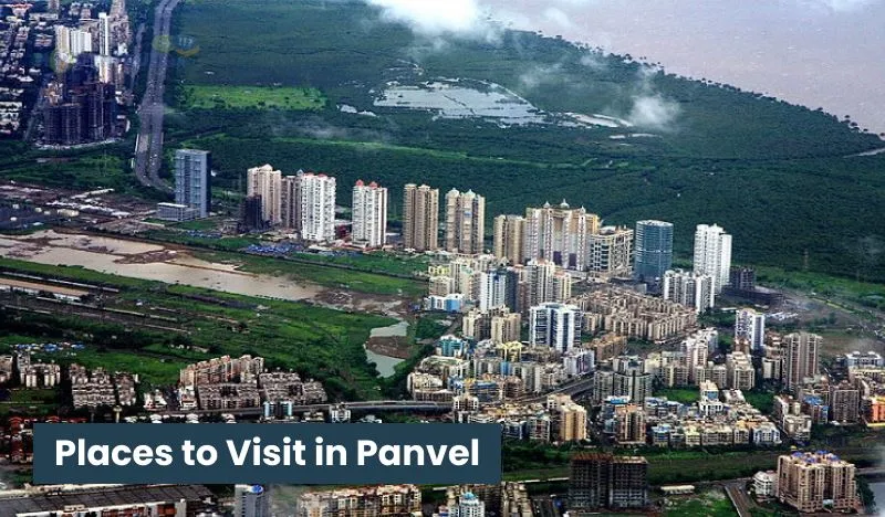 Panvel.webp