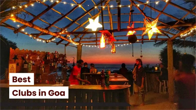 best-clubs-in-goa.webp