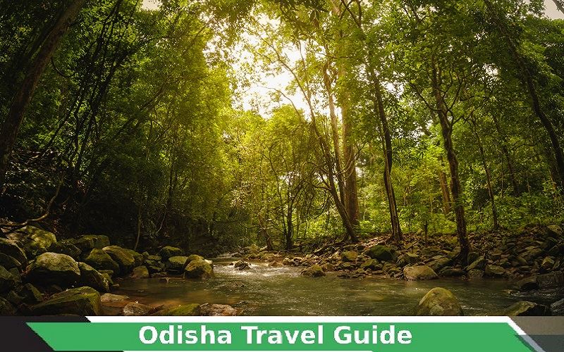 Odisha Travel Guide