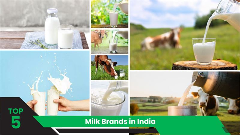 Top 5 Milk Brands in India: A Guide to Quality Dairy Products