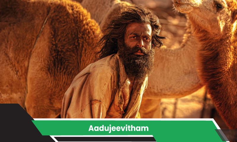 Aadujeevitham - The Goat Life Photo1