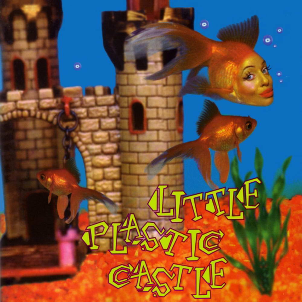 Little Plastic Castle - Ani DiFranco Image