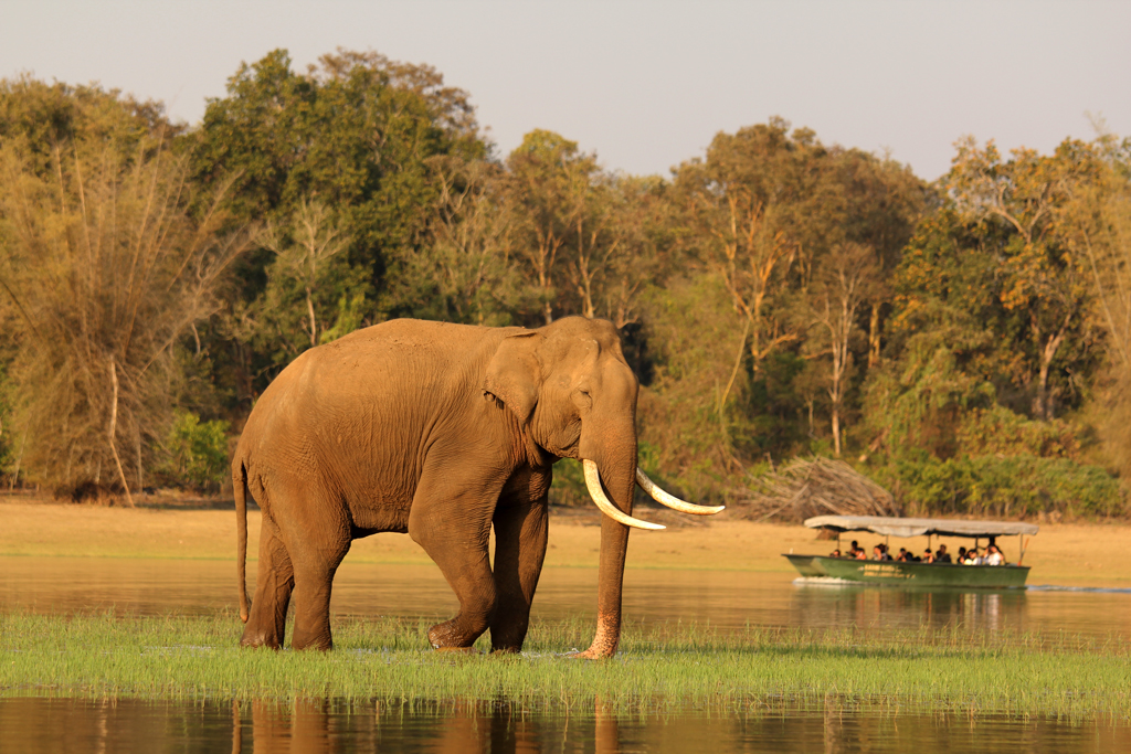 Rajiv Gandhi National Park Image