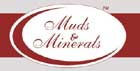 Mudsandminerals Image