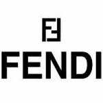 Fendi Bags Image