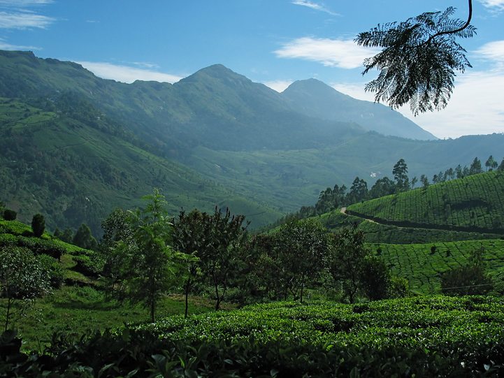 General Tips on Nilgiri Hills Image