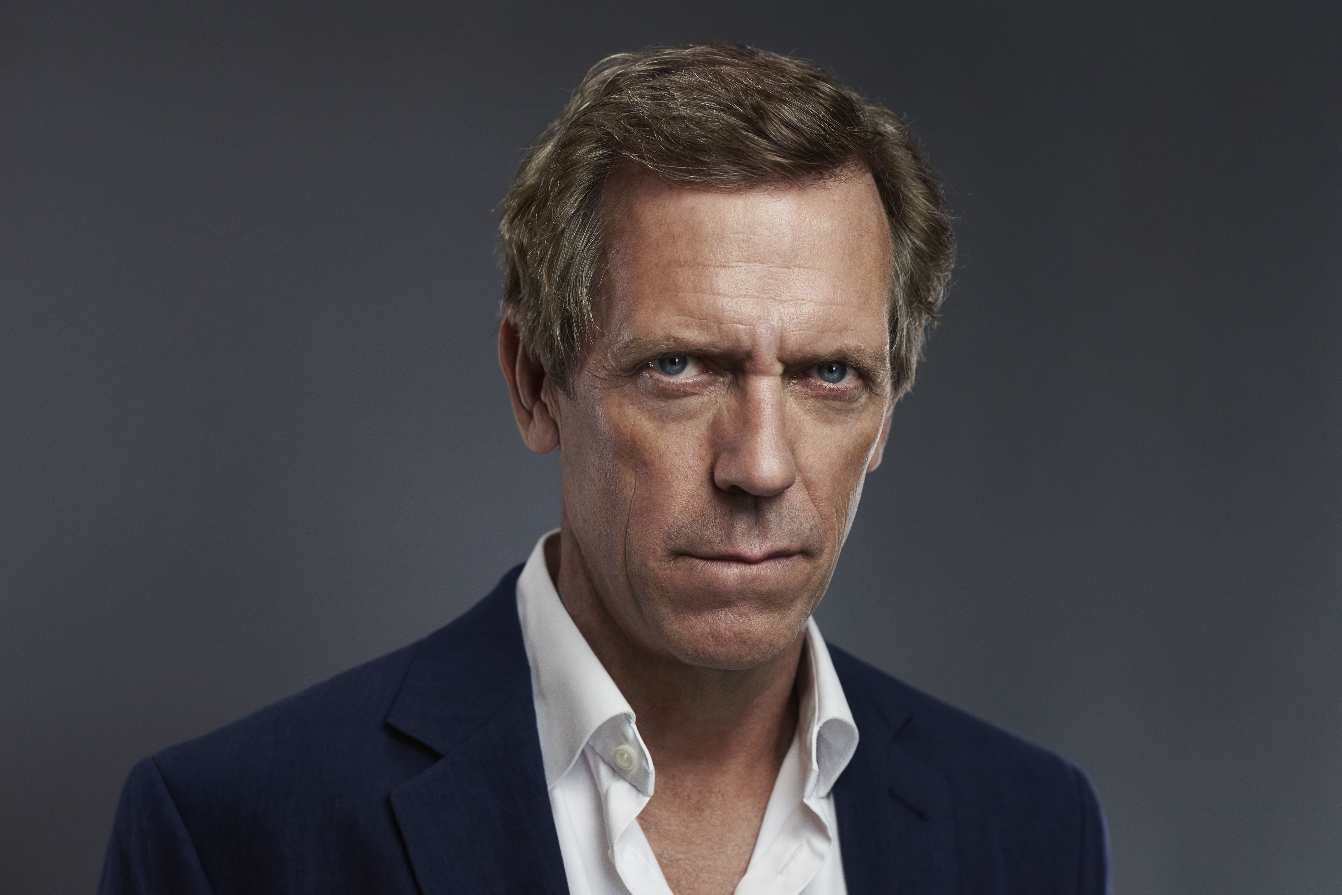 Hugh Laurie Image