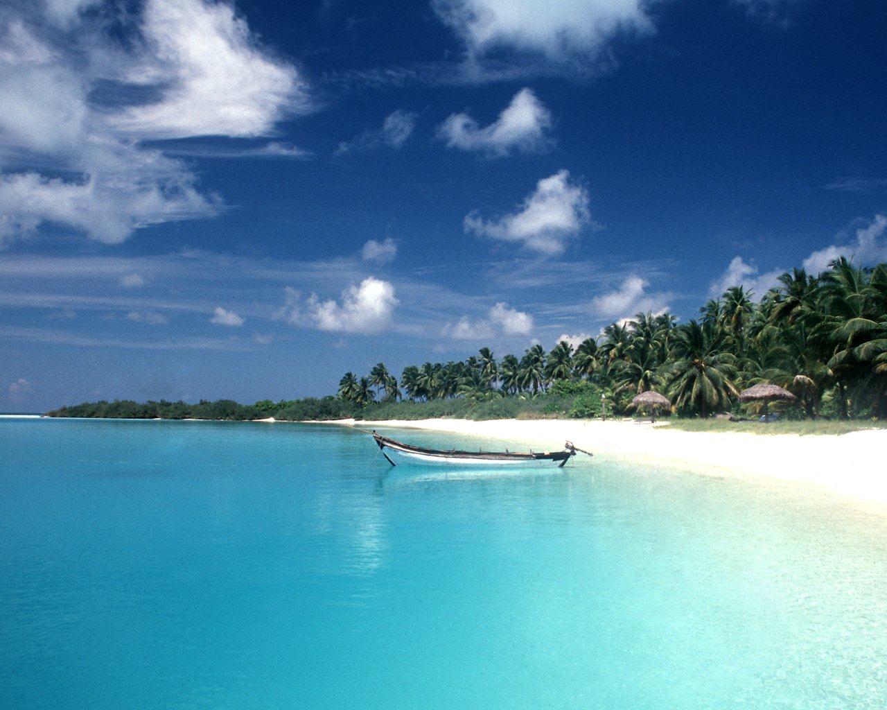 Havelock Island Image