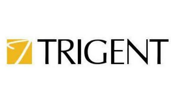 Trigent Software Ltd Image