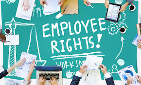 Employers Rights and Responsibilities Image